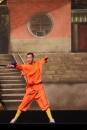 Shaolin-Kampfkunst-Singen-210114-Bodensee-Community-seechat_de-IMG_5379.JPG