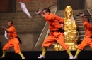 Shaolin-Kampfkunst-Singen-210114-Bodensee-Community-seechat_de-IMG_5441.JPG