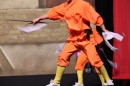 Shaolin-Kampfkunst-Singen-210114-Bodensee-Community-seechat_de-IMG_5445.JPG