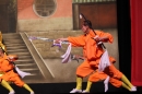 Shaolin-Kampfkunst-Singen-210114-Bodensee-Community-seechat_de-IMG_5446.JPG