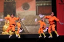 Shaolin-Kampfkunst-Singen-210114-Bodensee-Community-seechat_de-IMG_5448.JPG