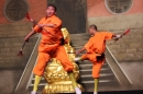 Shaolin-Kampfkunst-Singen-210114-Bodensee-Community-seechat_de-IMG_5474.JPG