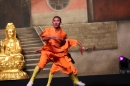 Shaolin-Kampfkunst-Singen-210114-Bodensee-Community-seechat_de-IMG_5475.JPG