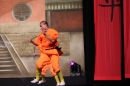 Shaolin-Kampfkunst-Singen-210114-Bodensee-Community-seechat_de-IMG_5485.JPG