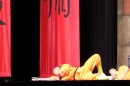 Shaolin-Kampfkunst-Singen-210114-Bodensee-Community-seechat_de-IMG_5489.JPG