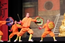 Shaolin-Kampfkunst-Singen-210114-Bodensee-Community-seechat_de-IMG_5494.JPG