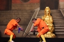 Shaolin-Kampfkunst-Singen-210114-Bodensee-Community-seechat_de-IMG_5497.JPG