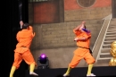 Shaolin-Kampfkunst-Singen-210114-Bodensee-Community-seechat_de-IMG_5499.JPG