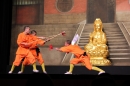 Shaolin-Kampfkunst-Singen-210114-Bodensee-Community-seechat_de-IMG_5521.JPG