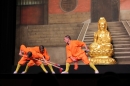 Shaolin-Kampfkunst-Singen-210114-Bodensee-Community-seechat_de-IMG_5522.JPG