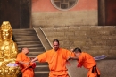 Shaolin-Kampfkunst-Singen-210114-Bodensee-Community-seechat_de-IMG_5529.JPG