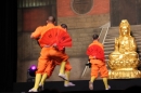 Shaolin-Kampfkunst-Singen-210114-Bodensee-Community-seechat_de-IMG_5548.JPG