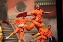 Shaolin-Kampfkunst-Singen-210114-Bodensee-Community-seechat_de-IMG_5559.JPG