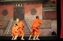 Shaolin-Kampfkunst-Singen-210114-Bodensee-Community-seechat_de-IMG_5571.JPG