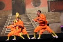 Shaolin-Kampfkunst-Singen-210114-Bodensee-Community-seechat_de-IMG_5591.JPG