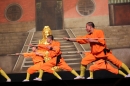 Shaolin-Kampfkunst-Singen-210114-Bodensee-Community-seechat_de-IMG_5592.JPG