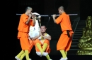 Shaolin-Kampfkunst-Singen-210114-Bodensee-Community-seechat_de-IMG_5670.JPG