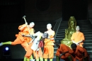 Shaolin-Kampfkunst-Singen-210114-Bodensee-Community-seechat_de-IMG_5677.JPG