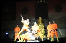 Shaolin-Kampfkunst-Singen-210114-Bodensee-Community-seechat_de-IMG_5687.JPG