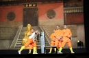 Shaolin-Kampfkunst-Singen-210114-Bodensee-Community-seechat_de-IMG_5703.JPG