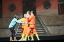 Shaolin-Kampfkunst-Singen-210114-Bodensee-Community-seechat_de-IMG_5709.JPG