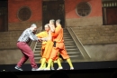 Shaolin-Kampfkunst-Singen-210114-Bodensee-Community-seechat_de-IMG_5710.JPG