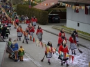 Faschingsumzug-Fasnet-Wasserburg-BODENSEE-COMMUNITY-SEECHAT_DE-P1040740.JPG