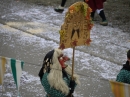 Faschingsumzug-Fasnet-Wasserburg-BODENSEE-COMMUNITY-SEECHAT_DE-P1040822.JPG