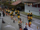 Faschingsumzug-Fasnet-Wasserburg-BODENSEE-COMMUNITY-SEECHAT_DE-P1040832.JPG