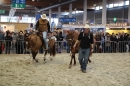 PFERD-BODENSEE-MESSE-Friedrichshafen-140214-Community-SEECHAT_DE-IMG_4499.JPG