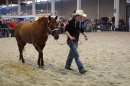 PFERD-BODENSEE-MESSE-Friedrichshafen-140214-Community-SEECHAT_DE-IMG_4500.JPG