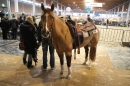 PFERD-BODENSEE-MESSE-Friedrichshafen-140214-Community-SEECHAT_DE-IMG_4523.JPG