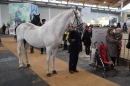 PFERD-BODENSEE-MESSE-Friedrichshafen-140214-Community-SEECHAT_DE-IMG_4546.JPG