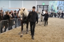 PFERD-BODENSEE-MESSE-Friedrichshafen-140214-Community-SEECHAT_DE-IMG_4556.JPG