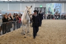 PFERD-BODENSEE-MESSE-Friedrichshafen-140214-Community-SEECHAT_DE-IMG_4559.JPG