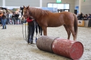 PFERD-BODENSEE-MESSE-Friedrichshafen-140214-Community-SEECHAT_DE-IMG_4605.JPG