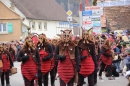 Fasnets-Umzug-Nenzingen-15-02-14-Bodensee-Community-SEECHAT_DE-I_59.jpg