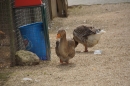 Lochmuehle-Eigeltingen-06-04-2014-Bodensee-Community-SEECHAT_DE-0008.JPG