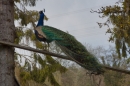 Lochmuehle-Eigeltingen-06-04-2014-Bodensee-Community-SEECHAT_DE-0013.JPG