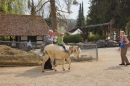 Lochmuehle-Eigeltingen-06-04-2014-Bodensee-Community-SEECHAT_DE-0042.JPG