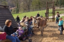 Lochmuehle-Eigeltingen-06-04-2014-Bodensee-Community-SEECHAT_DE-0110.JPG