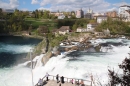 Rheinfall-Schaffhausen-9-4-2014-Bodensee-Community-SEECHAT_DE-IMG_2490.JPG