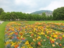 BADEN-BADEN-FINE_ART-140420-20-04-2014-Bodenseecommunity-seechat_de-DSCF4804.JPG