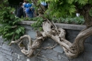 Insel-Mainau-280514-Bodensee-Community-Seechat_de--5591.jpg