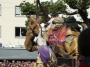 RASTATT-Strassentheaterfestival-30-05-2014-Bodenseecommunity-seechat_de-_59_.JPG