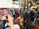 RASTATT-Strassentheaterfestival-30-05-2014-Bodenseecommunity-seechat_de-_91_.JPG