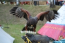 Westernschiessen-Nenzingen-19-06-2014-Bodensee-Community-SEECHAT_DE-IMG_4559.JPG