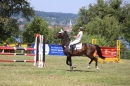 Reitturnier-Dettingen-Wallhausen-220614-Bodensee-Community-SEECHAT_DE-IMG_4723.JPG