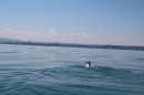 Bodenseequerung-Meik-Friedrichshafen-170714-Bodensee-Community_SEECHAT_DE-IMG_7144.JPG