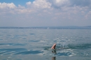 Bodenseequerung-Meik-Friedrichshafen-170714-Bodensee-Community_SEECHAT_DE-IMG_7168.JPG